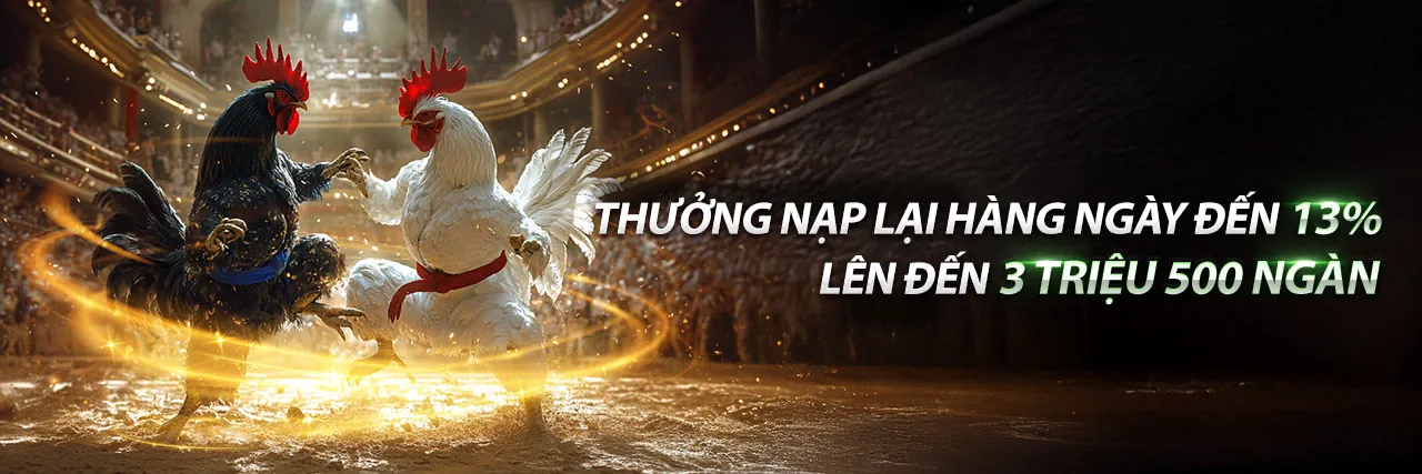 Đá gà Thomo ngày 8 tháng 2 năm 2023 trực tiếp